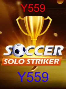 SoccerSoloStriker